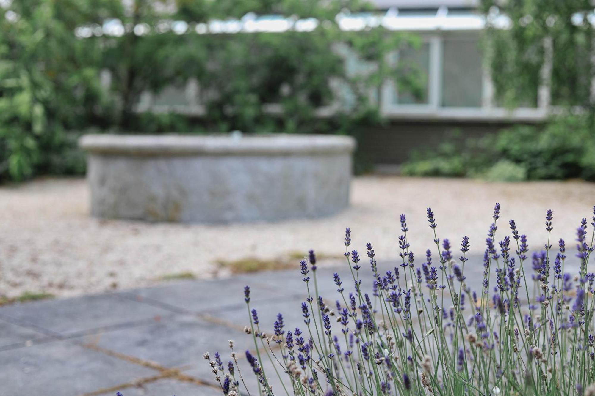 Powerscourt Springs Health Farm Wicklow Eksteriør bilde