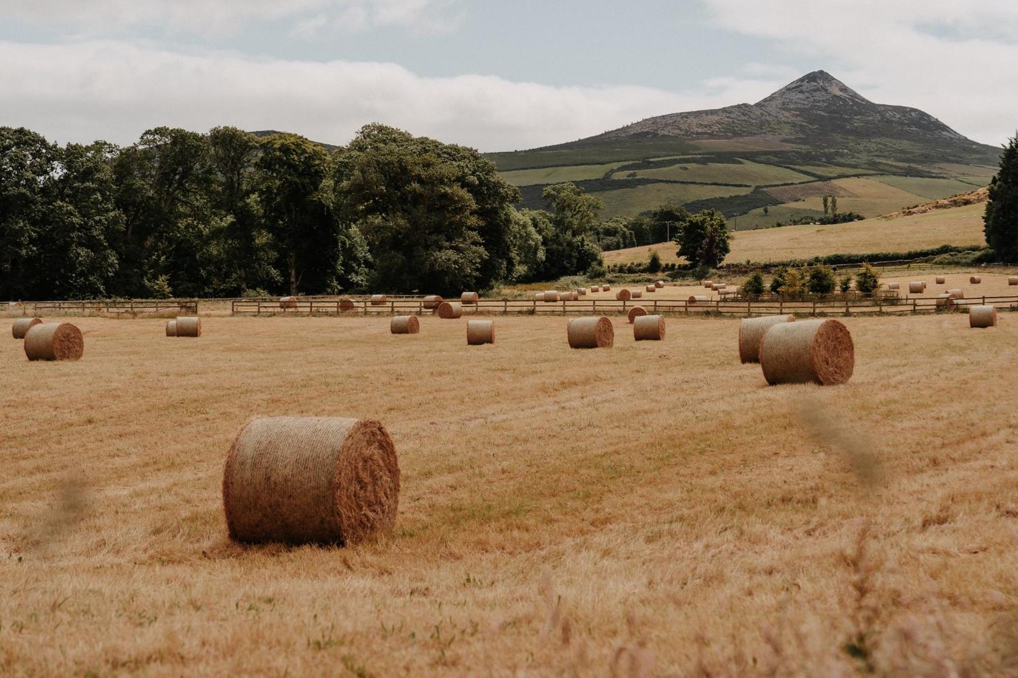 Powerscourt Springs Health Farm Wicklow Eksteriør bilde