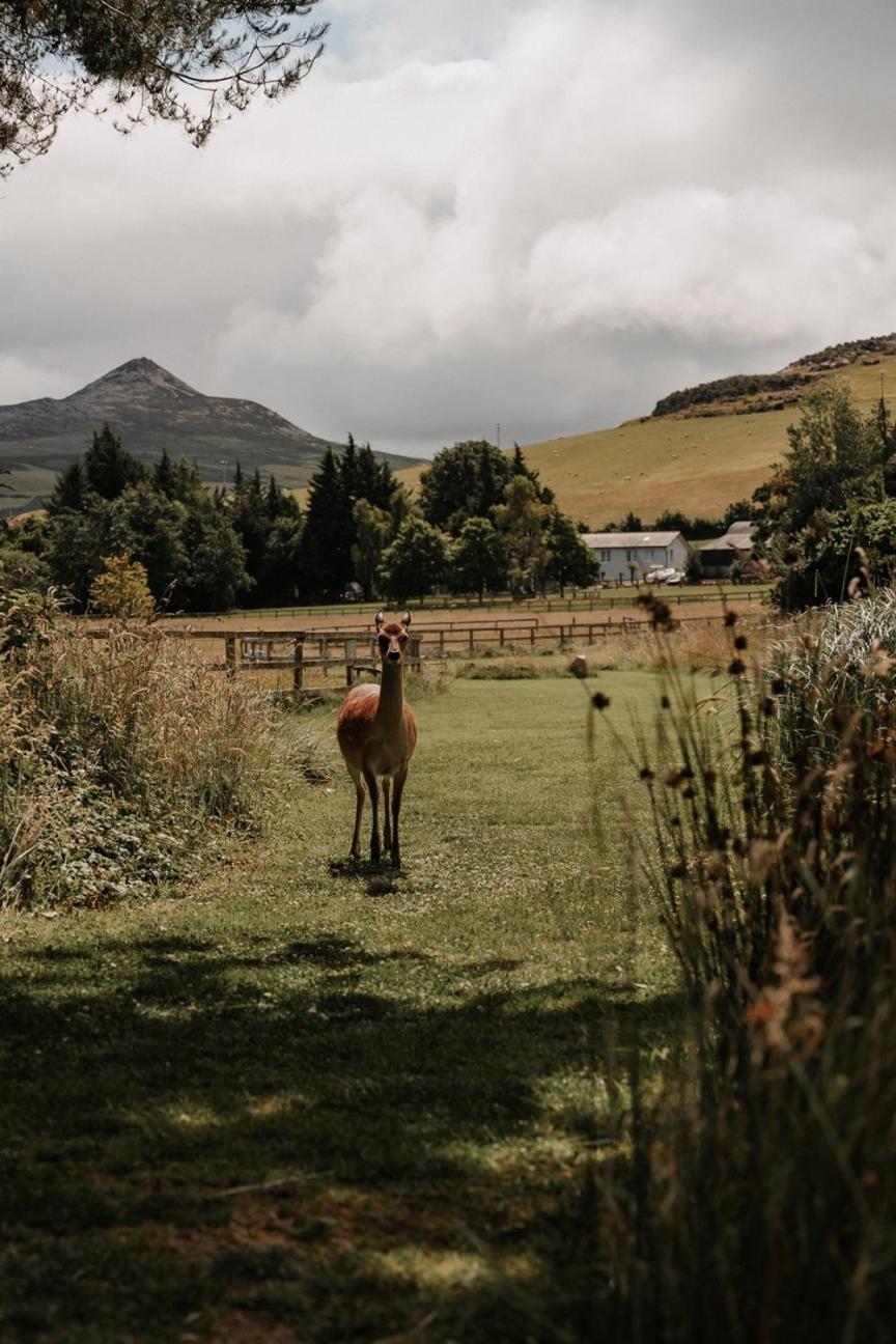 Powerscourt Springs Health Farm Wicklow Eksteriør bilde